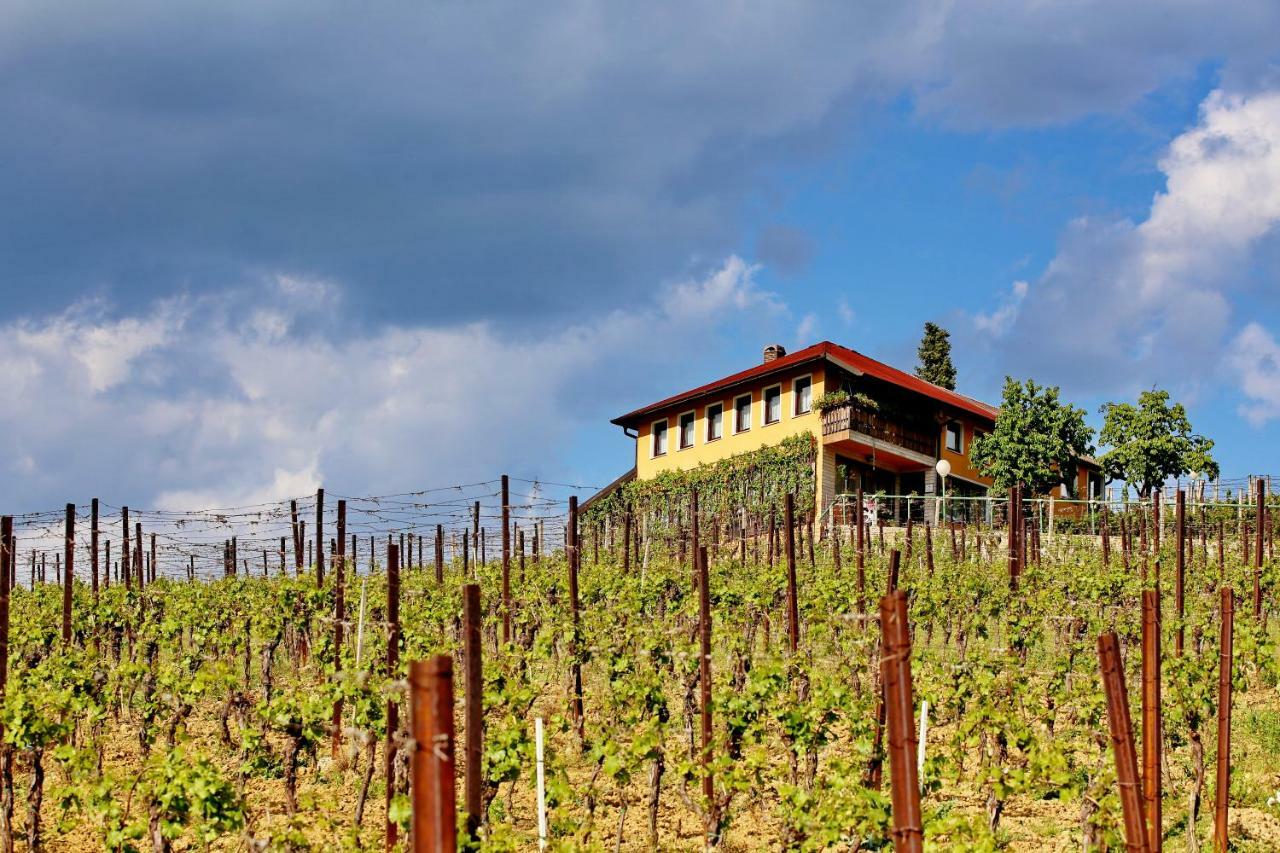 Wine Paradise Sveti Ivan Zelina Exterior photo
